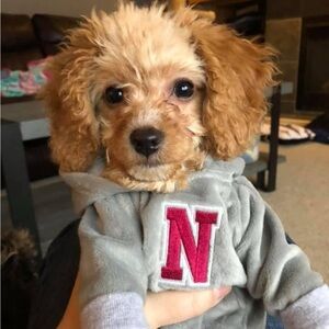 Meet your Posher, Michelle